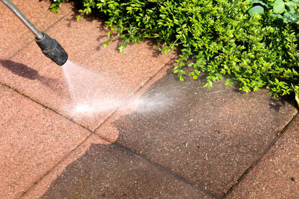 Best Roof Power Washing Services  in Arvin, CA